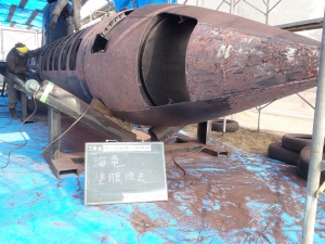 海竜　塗膜除去ディスクサンダー.JPG
